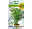 ./image2.php?src=images/items/13221_200x200.jpeg
